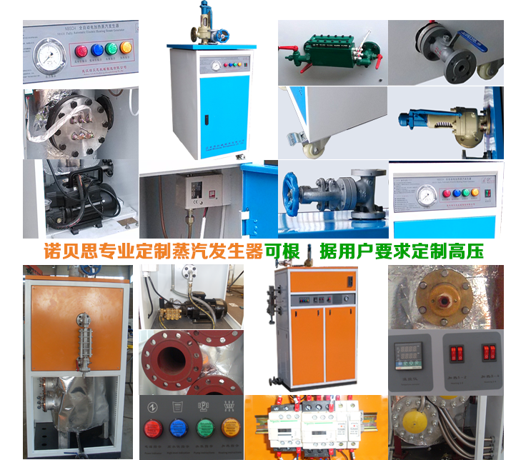 高壓蒸汽發(fā)生器_小型高壓蒸汽發(fā)生器細節(jié)