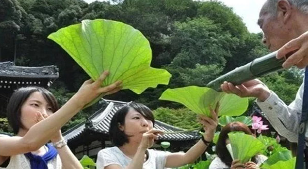 荷葉酒釀酒蒸汽發(fā)生器